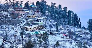 shimla
