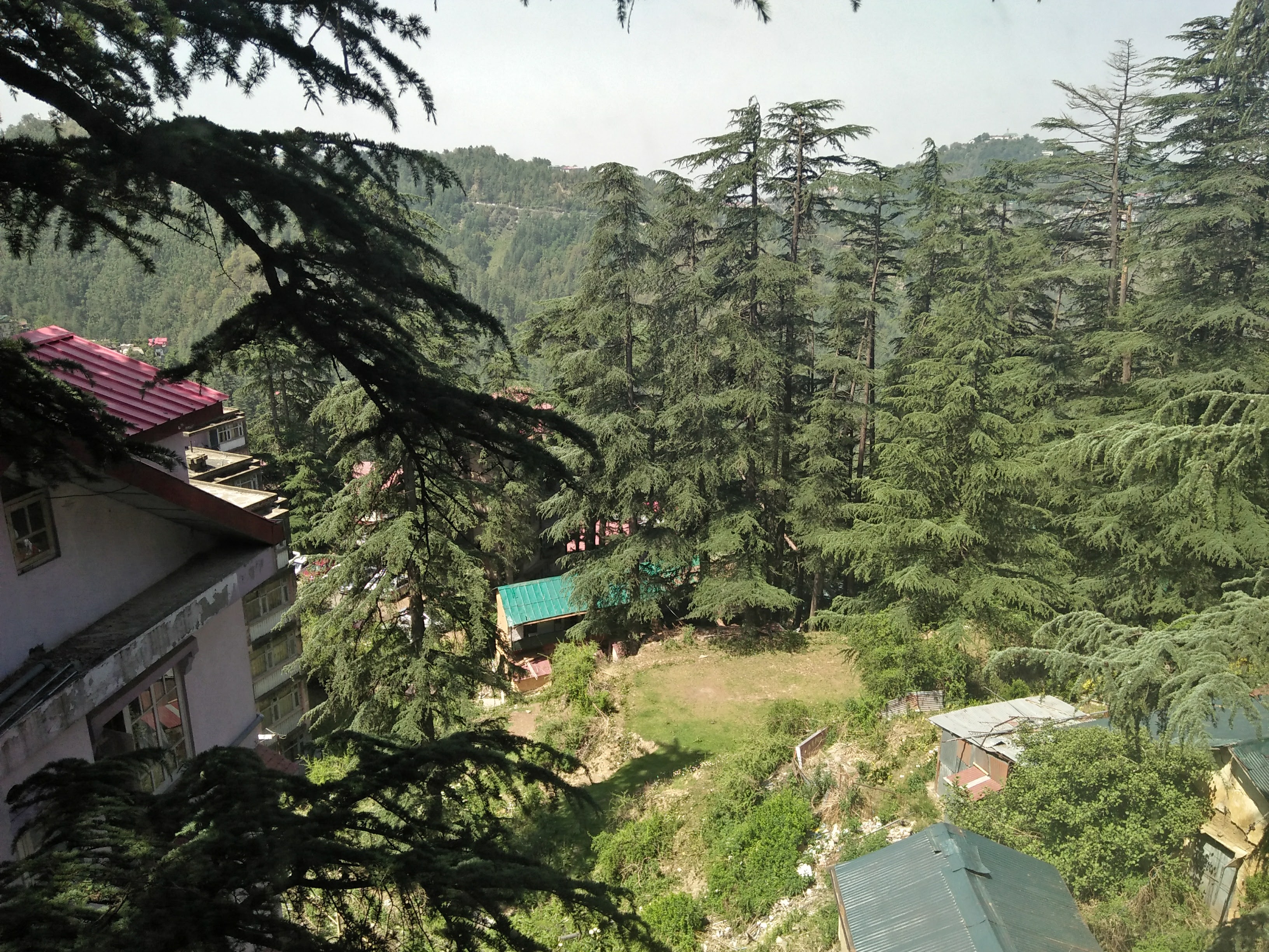 Paragliding at Bir